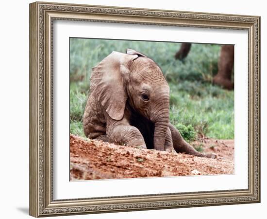 Happy Babe, Loisaba, 2017-Eric Meyer-Framed Photographic Print