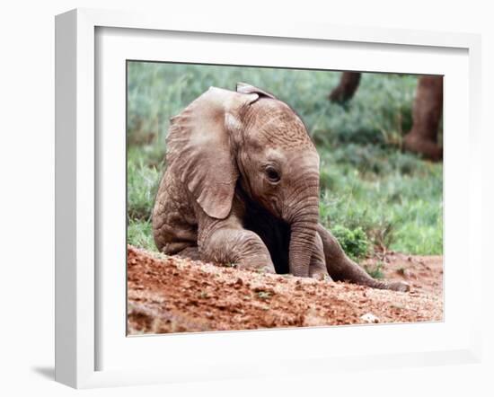 Happy Babe, Loisaba, 2017-Eric Meyer-Framed Photographic Print