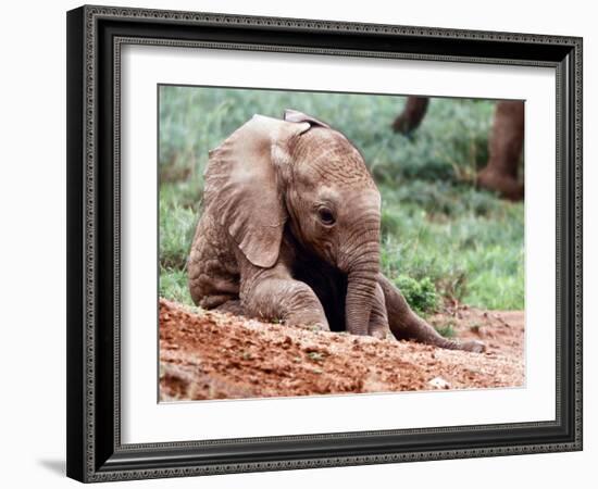 Happy Babe, Loisaba, 2017-Eric Meyer-Framed Photographic Print