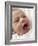 Happy Baby Girl-Ian Boddy-Framed Photographic Print