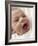 Happy Baby Girl-Ian Boddy-Framed Photographic Print