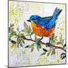 Happy Bird I-Elizabeth St. Hilaire-Mounted Art Print