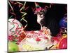 Happy Birthday Chessie!-null-Mounted Giclee Print