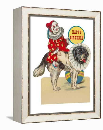 Happy Birthday, Clown on St. Bernard-null-Framed Stretched Canvas