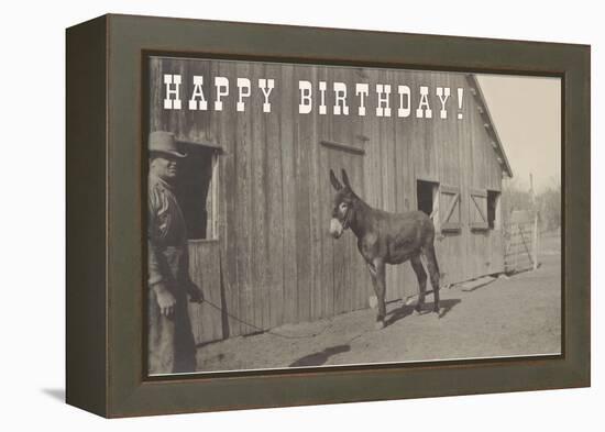 Happy Birthday, Mule and Man-null-Framed Stretched Canvas