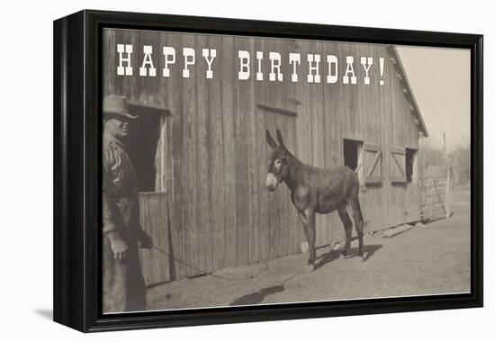 Happy Birthday, Mule and Man-null-Framed Stretched Canvas