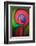 Happy Birthday-Ursula Abresch-Framed Photographic Print