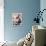 Happy Bloom on Black II-Lanie Loreth-Framed Stretched Canvas displayed on a wall