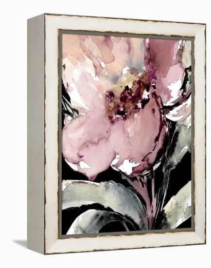 Happy Bloom on Black II-Lanie Loreth-Framed Stretched Canvas