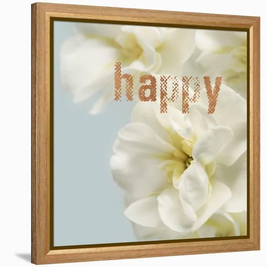 Happy Blooms-Julie Greenwood-Framed Stretched Canvas
