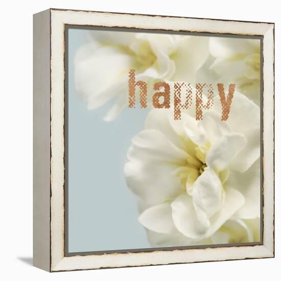 Happy Blooms-Julie Greenwood-Framed Stretched Canvas