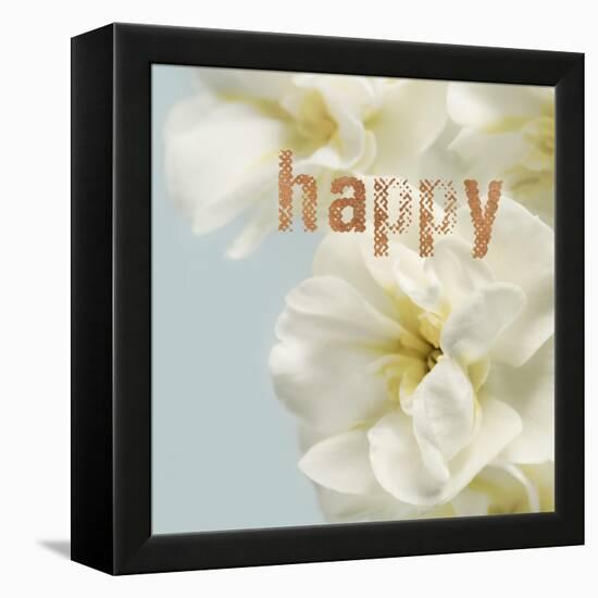 Happy Blooms-Julie Greenwood-Framed Stretched Canvas