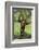 Happy Chimpanzee-DLILLC-Framed Photographic Print