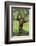 Happy Chimpanzee-DLILLC-Framed Photographic Print