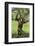 Happy Chimpanzee-DLILLC-Framed Photographic Print