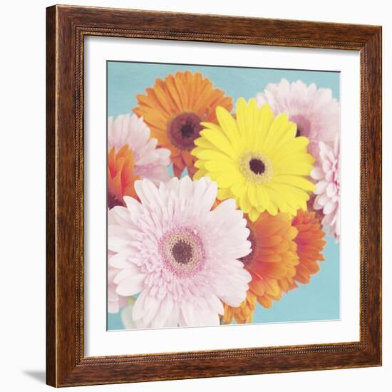 Happy Daisies-Susannah Tucker-Framed Art Print