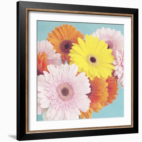 Happy Daisies-Susannah Tucker-Framed Art Print