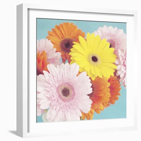 Happy Daisies-Susannah Tucker-Framed Art Print