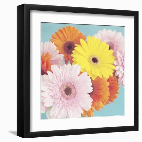 Happy Daisies-Susannah Tucker-Framed Art Print