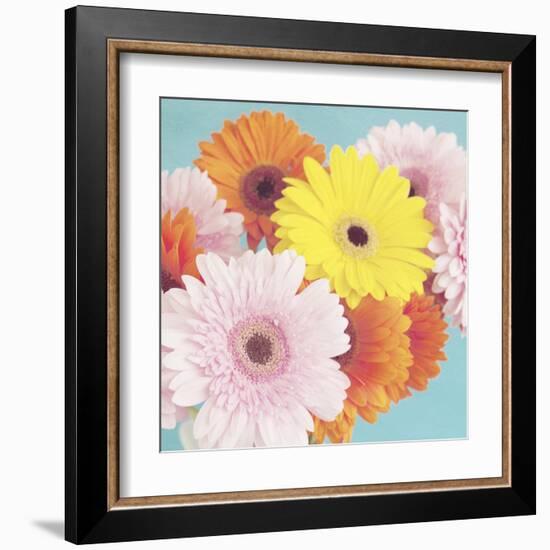 Happy Daisies-Susannah Tucker-Framed Art Print