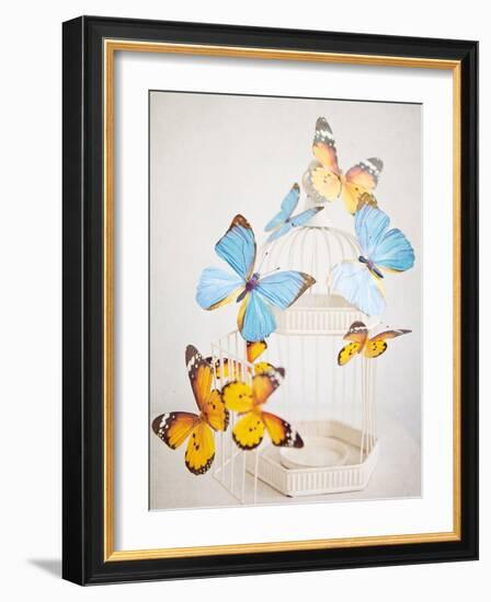 Happy Daydream 2-Susannah Tucker-Framed Art Print