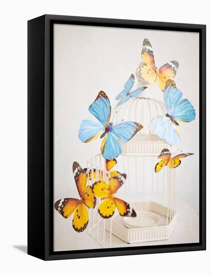 Happy Daydream 2-Susannah Tucker-Framed Stretched Canvas