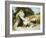 Happy Days-Frederick Morgan-Framed Giclee Print