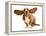 Happy Dog - Basset Hound With Ears Up-Willee Cole-Framed Premier Image Canvas