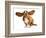 Happy Dog - Basset Hound With Ears Up-Willee Cole-Framed Photographic Print