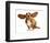 Happy Dog - Basset Hound With Ears Up-Willee Cole-Framed Photographic Print