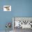 Happy Dog - Basset Hound With Ears Up-Willee Cole-Mounted Photographic Print displayed on a wall