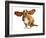 Happy Dog - Basset Hound With Ears Up-Willee Cole-Framed Photographic Print