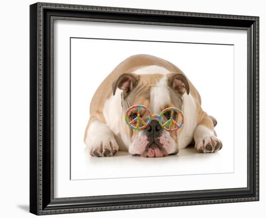 Happy Dog - English Bulldog Wearing Peace Sign Glasses Laying Down-Willee Cole-Framed Photographic Print