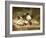 Happy Family-Norbert Schrodl-Framed Giclee Print