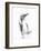 Happy Feet-Barbara Keith-Framed Giclee Print