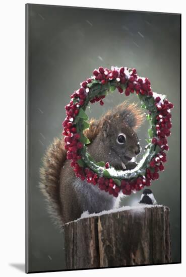 Happy Holiday-Andre Villeneuve-Mounted Photographic Print