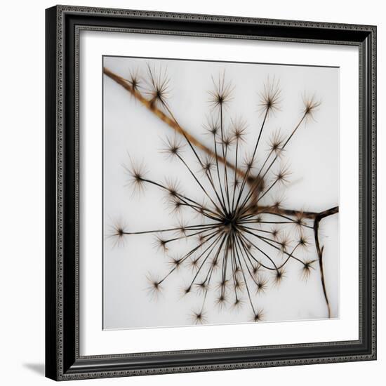 Happy holidays-Gilbert Claes-Framed Photographic Print