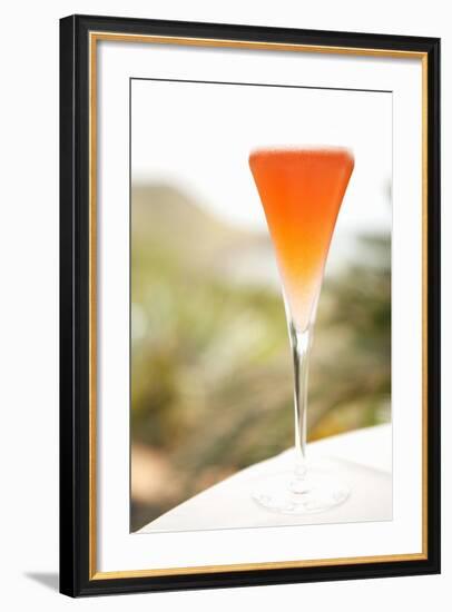 Happy Hour IV-Karyn Millet-Framed Photographic Print