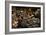 Happy Hour-Anthony Benussi-Framed Photographic Print