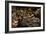 Happy Hour-Anthony Benussi-Framed Photographic Print