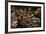 Happy Hour-Anthony Benussi-Framed Photographic Print