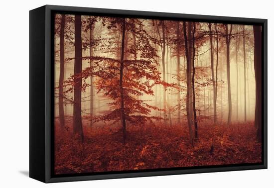 Happy Hour-Philippe Sainte-Laudy-Framed Premier Image Canvas