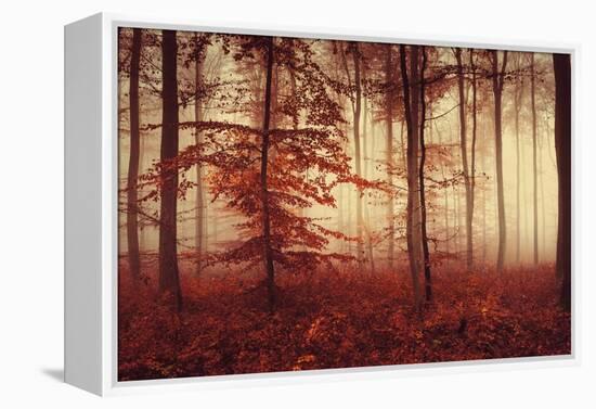 Happy Hour-Philippe Sainte-Laudy-Framed Premier Image Canvas