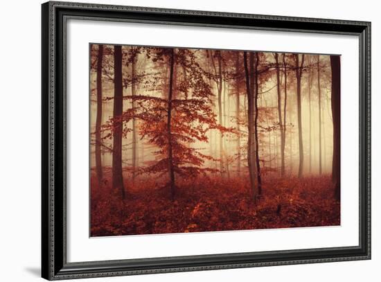 Happy Hour-Philippe Sainte-Laudy-Framed Photographic Print