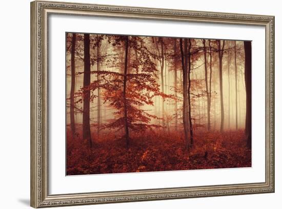 Happy Hour-Philippe Sainte-Laudy-Framed Photographic Print