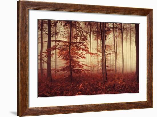 Happy Hour-Philippe Sainte-Laudy-Framed Photographic Print