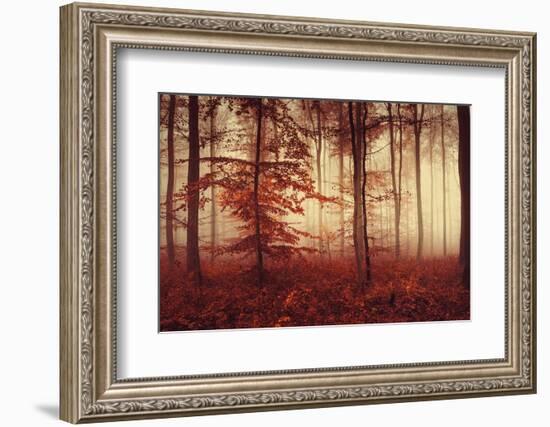 Happy Hour-Philippe Sainte-Laudy-Framed Photographic Print