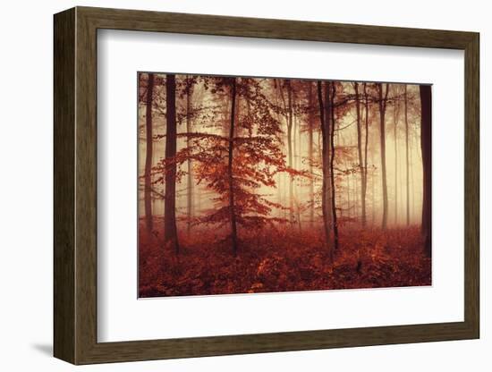 Happy Hour-Philippe Sainte-Laudy-Framed Photographic Print