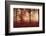 Happy Hour-Philippe Sainte-Laudy-Framed Photographic Print