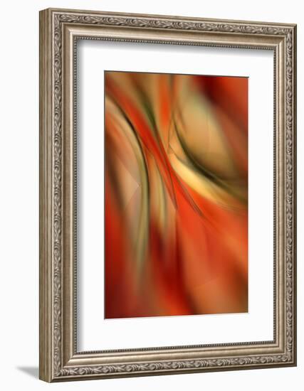 Happy New Year-Ursula Abresch-Framed Photographic Print